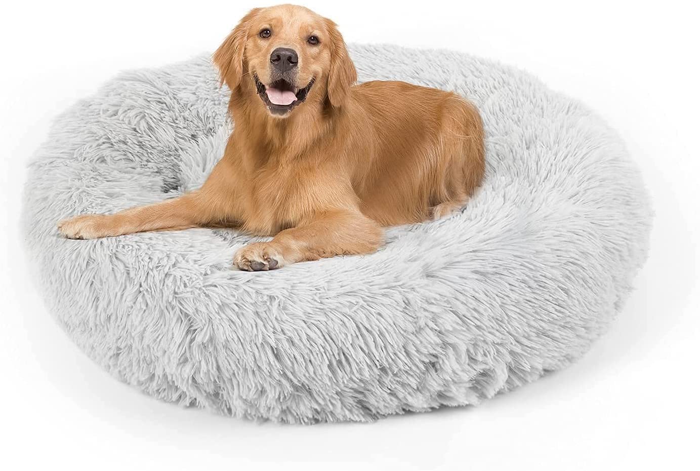 Fluffy Dog Beds - The Complete 2024 Guide For Canine Beds