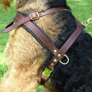 Dog Harnesses For Large Dogs