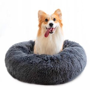 Fluffy Dog Beds – The Complete 2024 Guide For Canine Beds