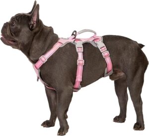 Dog Harnesses For Small Dogs