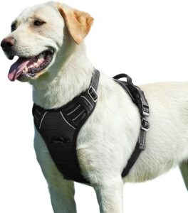 Walking Harnesses For Large Dogs