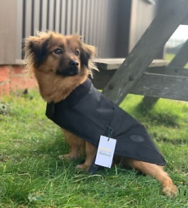 Dog Jackets For French Spaniels