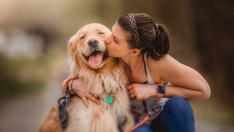 15 Tips For First Time Big Dog Owners